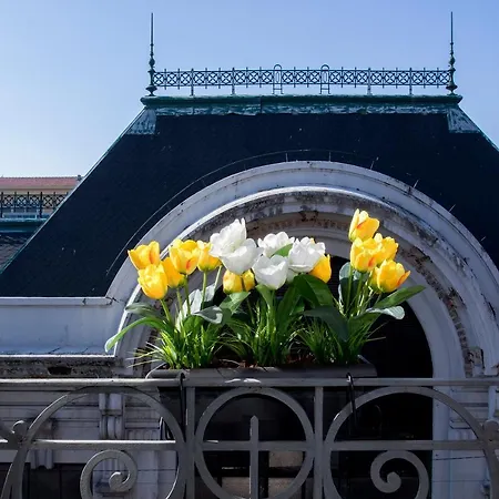 Liiiving In | Bolhao Market * Oporto
