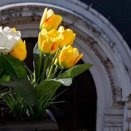 Appartamento Liiiving In | Bolhao Market