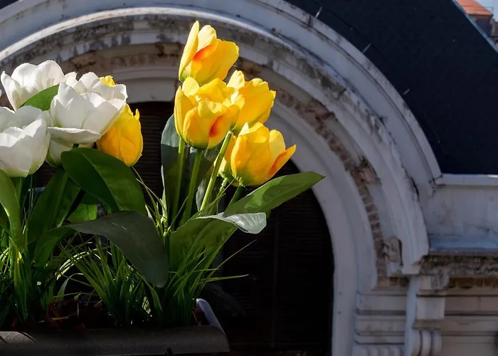 Апартаменты Liiiving In | Bolhao Market